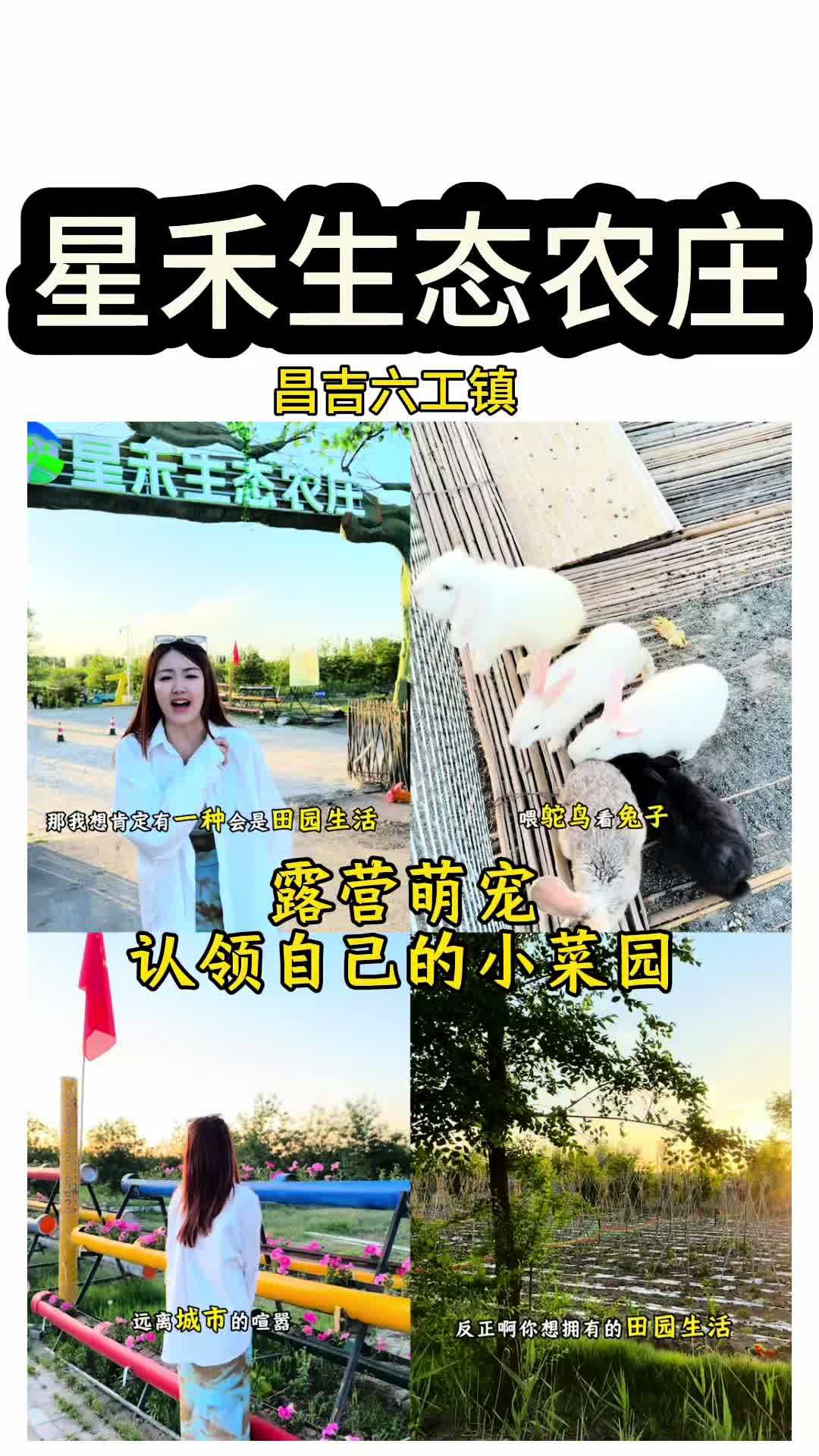 如果热爱的方式有100种那田园生活真的是一种呀,露营萌宠垂认领自己的专属小菜园,这真的是端