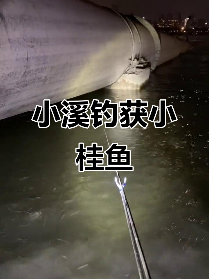 江边钓鱼遇小桂鱼,惊喜连连!