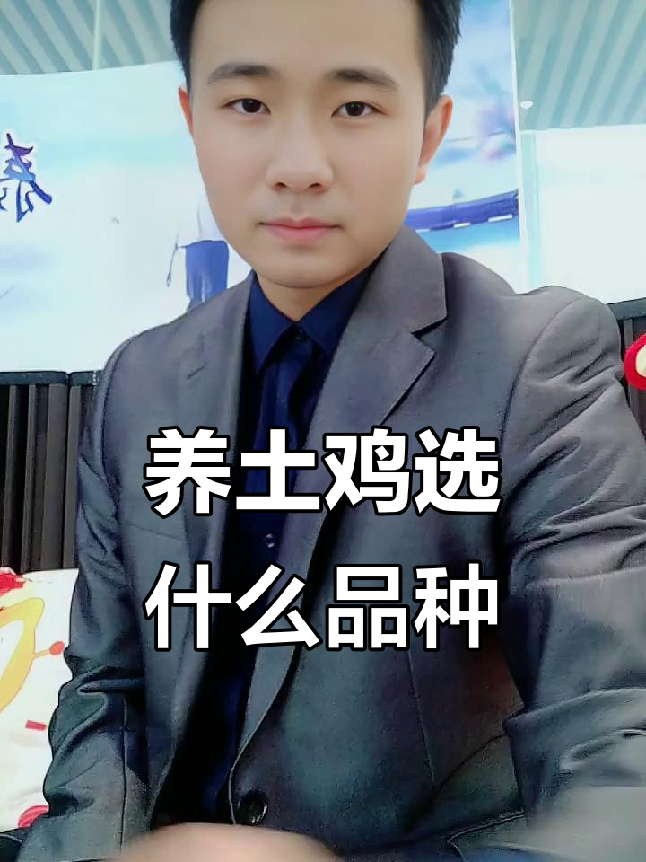 散养土鸡品种选择技巧:如何挑选高价值、耐性强的高品质鸡种