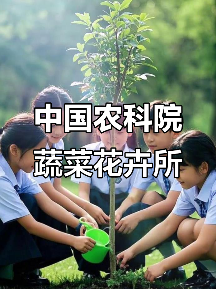 探访中国农业科学院蔬菜花卉研究所,感受科研魅力与种植乐趣