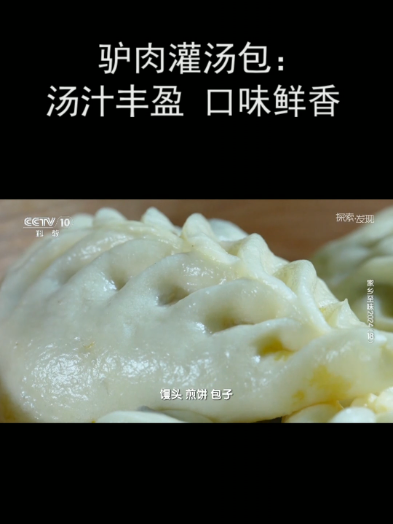 驴肉灌汤包:汤汁丰盈 口味鲜香