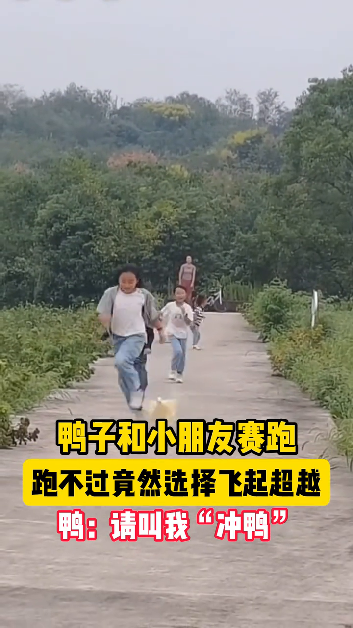 鸭子和小朋友赛跑，跑不过竟然选择飞起超越