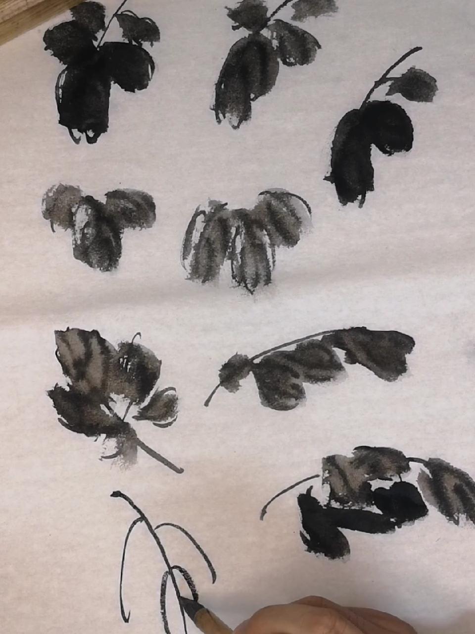 中国画菊花叶子的画法 画画 一起学画画 国画 唐山 画菊花