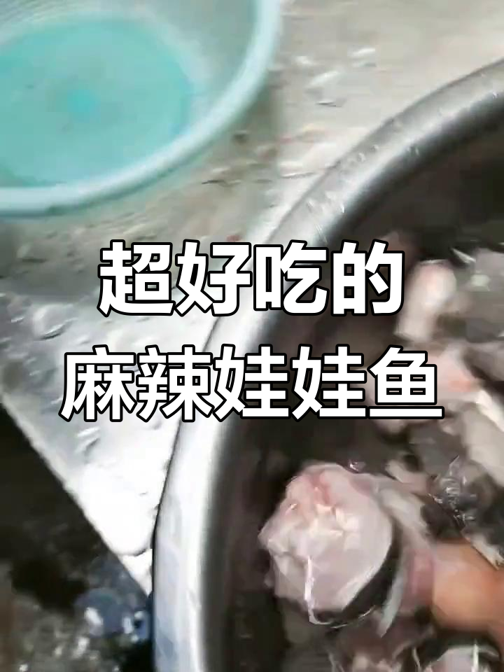 麻辣娃娃鱼,鲜香四溢让人无法抗拒