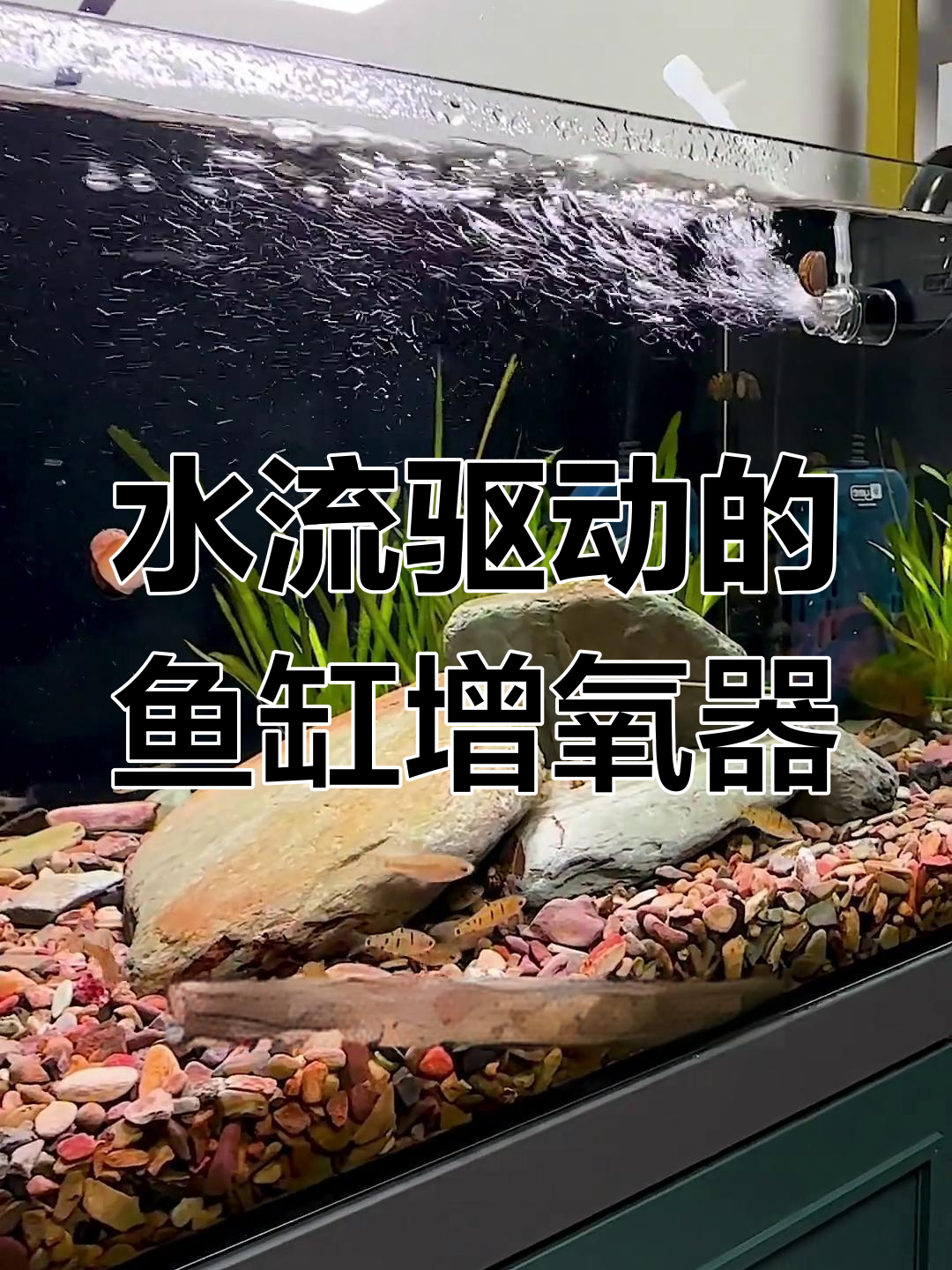 鱼缸增氧水嘴原理解析:如何让水流带动氧气释放