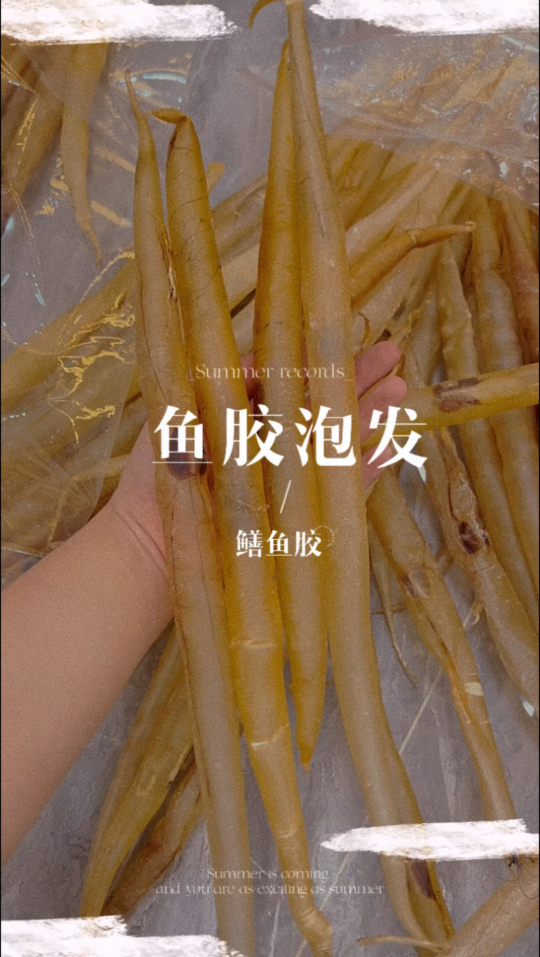 鳝鱼胶 鱼胶花胶泡发方法 做法