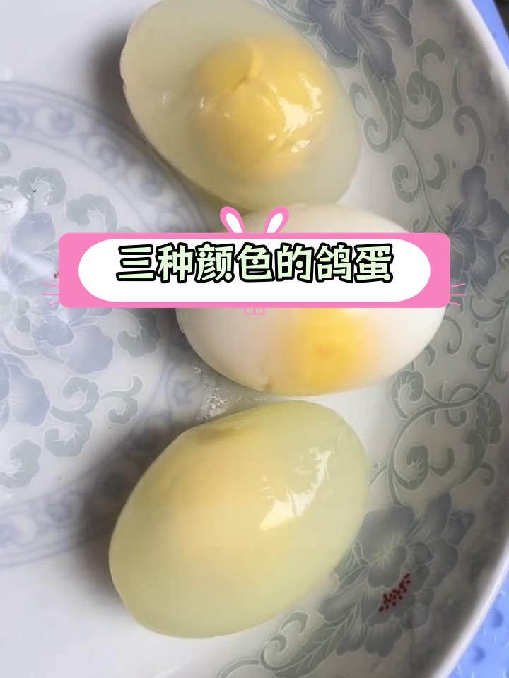 鸽子蛋的三种常见颜色与口感