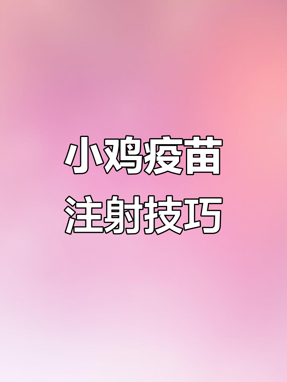 小鸡疫苗接种全攻略,雪峰山青脚乌土鸡育雏必看