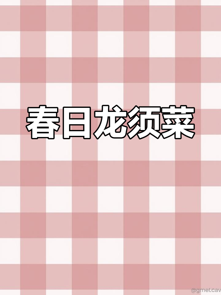 龙须菜嫩脆可口,焯水后拌调料,春季美味新体验!