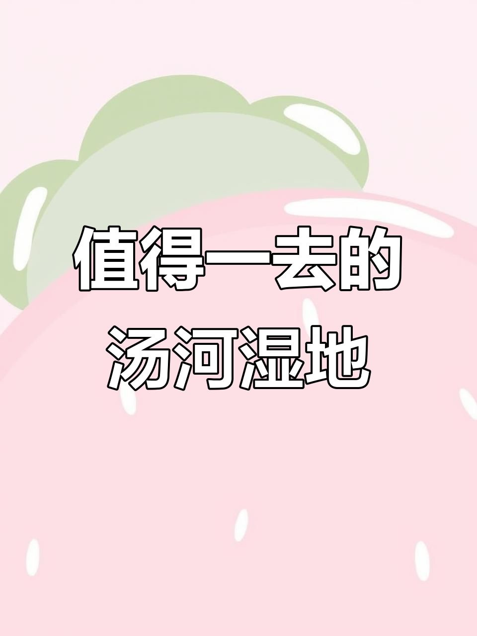 汤河湿地公园：青山绿水美景，航拍体验不容错过