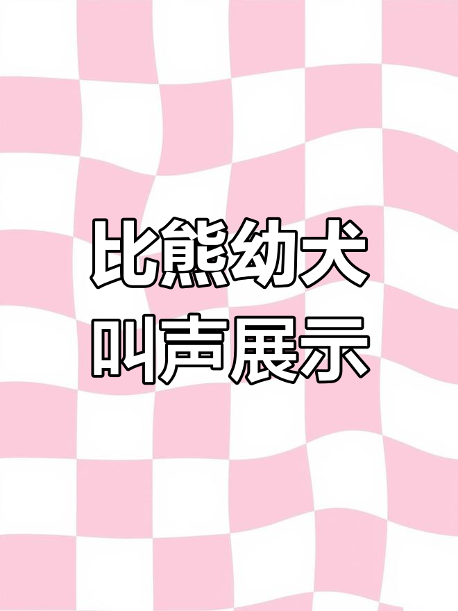 小比熊学叫,萌态十足