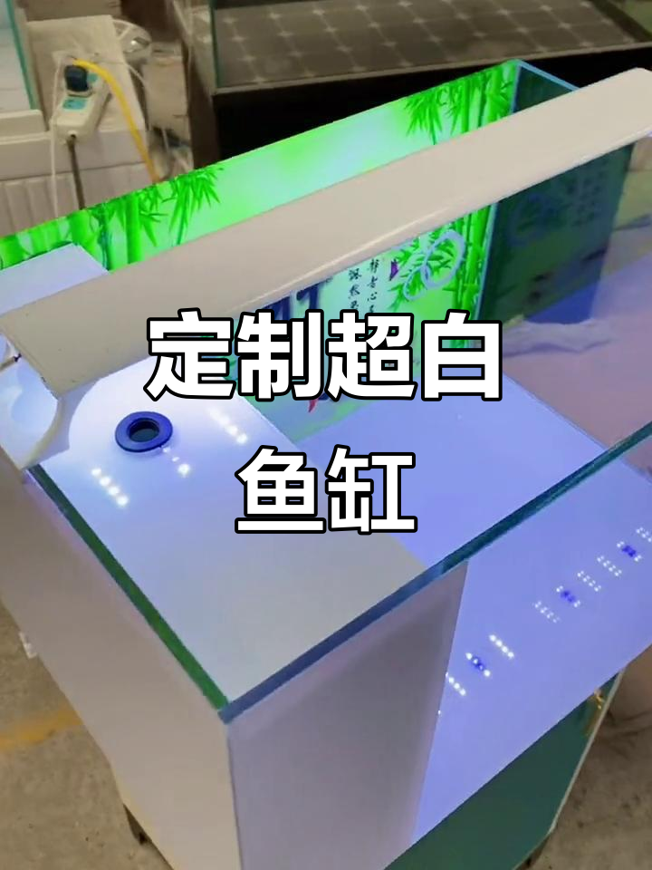 超白鱼缸制作:独立盖子与干湿分离设计,打造完美水族环境