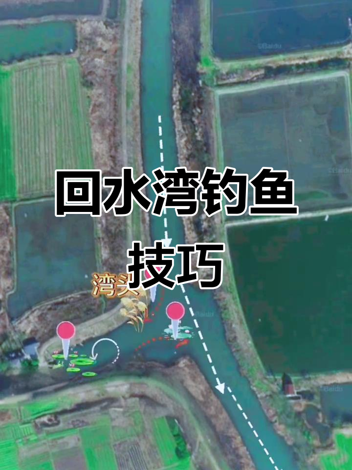 回水湾钓鱼技巧:如何选择最佳钓位,掌握冬季和夏季的钓鱼优势