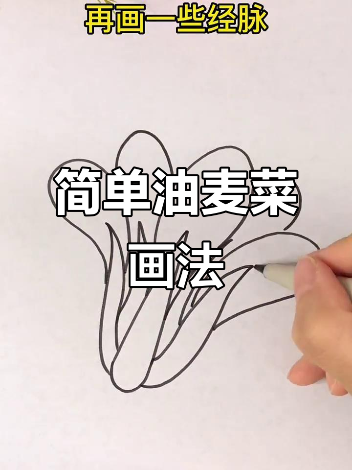 油麦菜简笔画,轻松搞定!