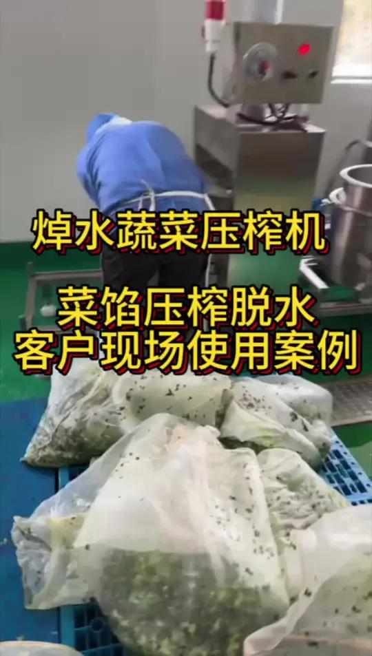 焯水蔬菜压榨机现场使用案例 各类菜馅挤压脱水设备 不锈钢液压压榨机 焯水蔬菜压榨机 菜馅挤