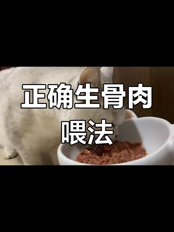 生骨肉喂养误区:如何科学搭配