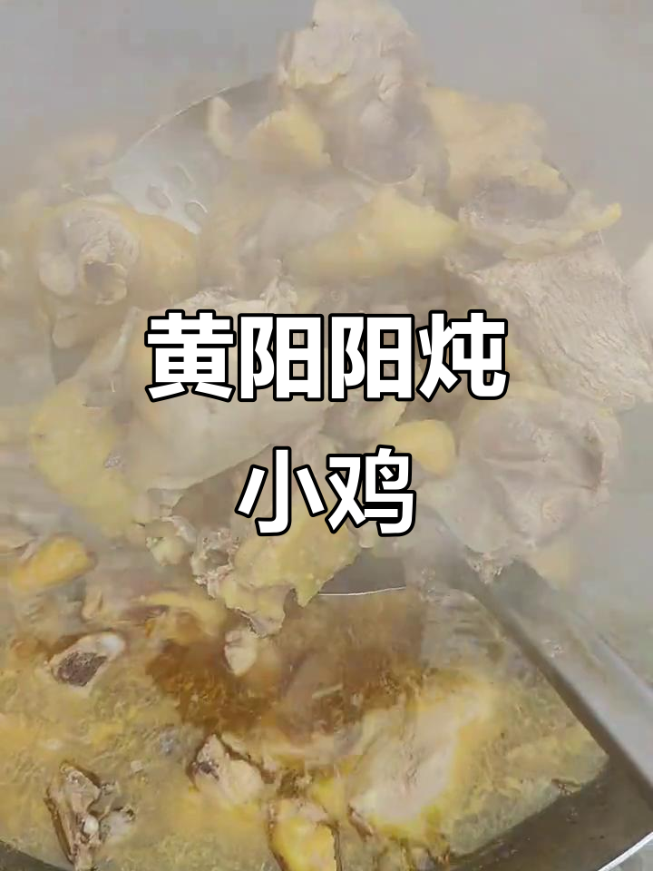 东北冻鸡炖法，黄阳阳的童年味！