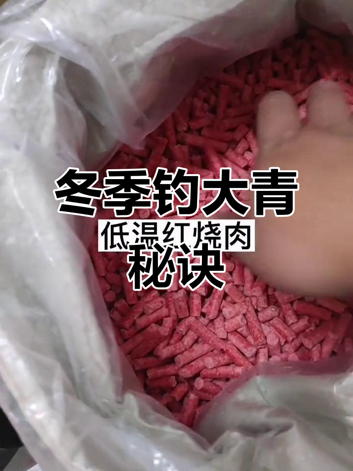 冬季钓青鱼技巧,低温下如何提高成功率