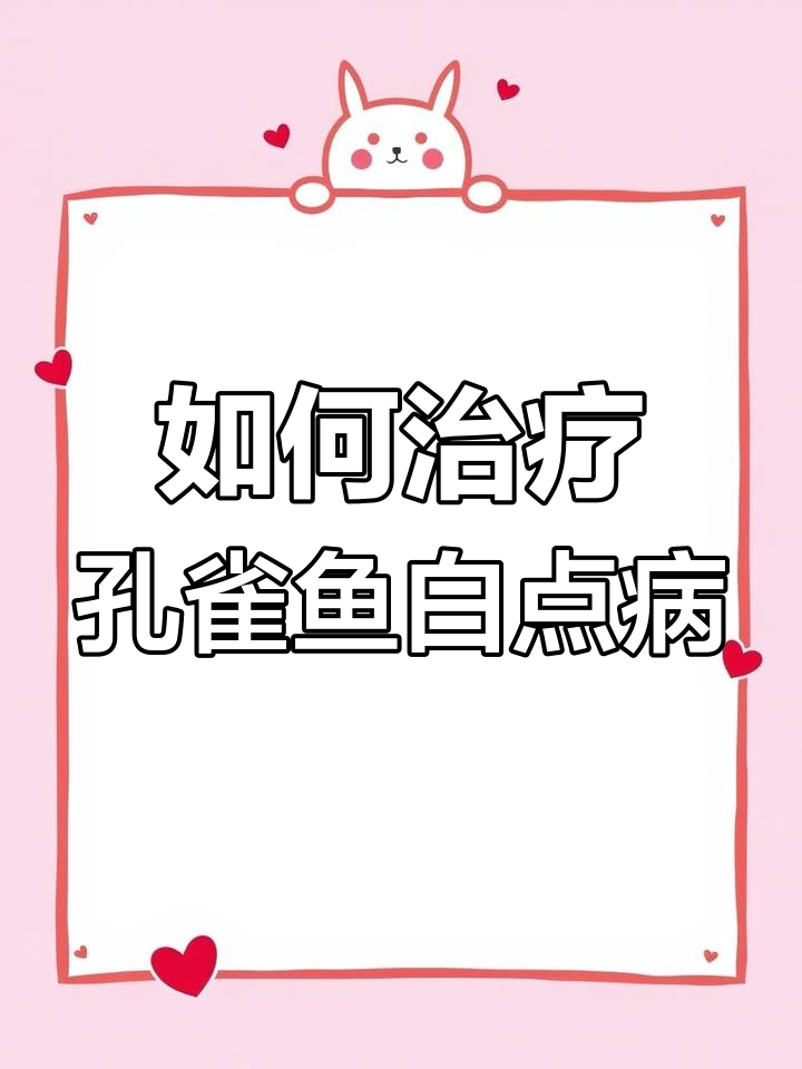 孔雀鱼白点病:温差大时如何应对