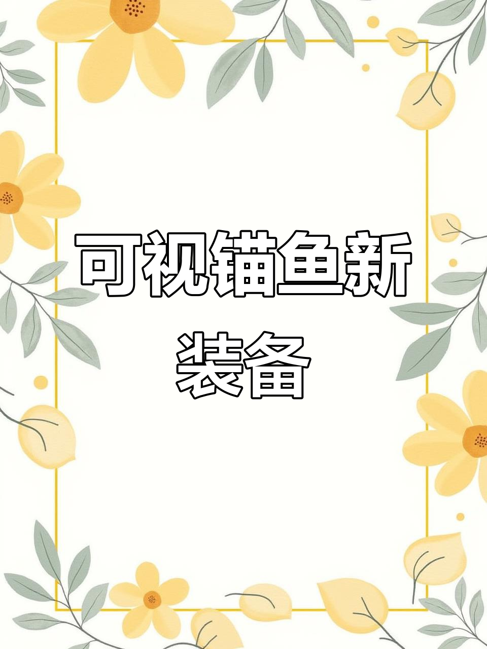 全新可视锚鱼套装，轻松抛头更远