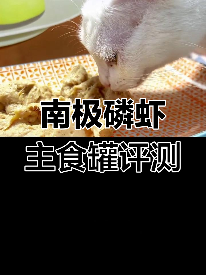 南极磷虾罐头测评:猫咪美毛与健康加分