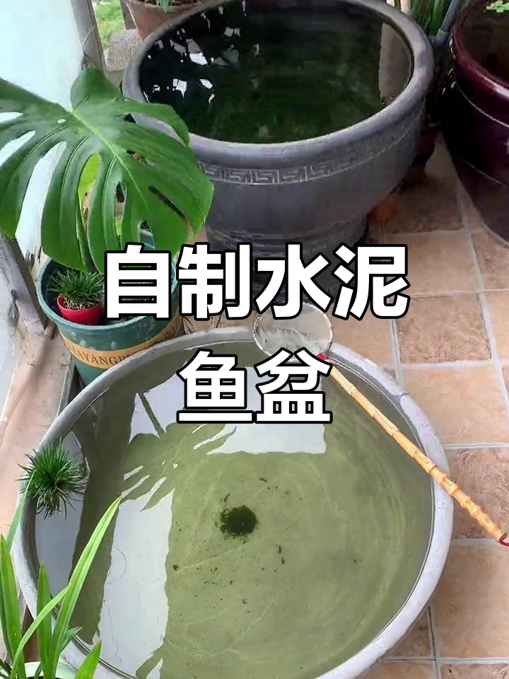 手工制作水泥鱼盆,享受养鱼的乐趣