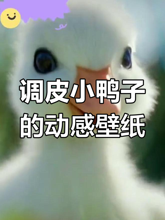 小鸭子调皮捣蛋,动态壁纸送上!
