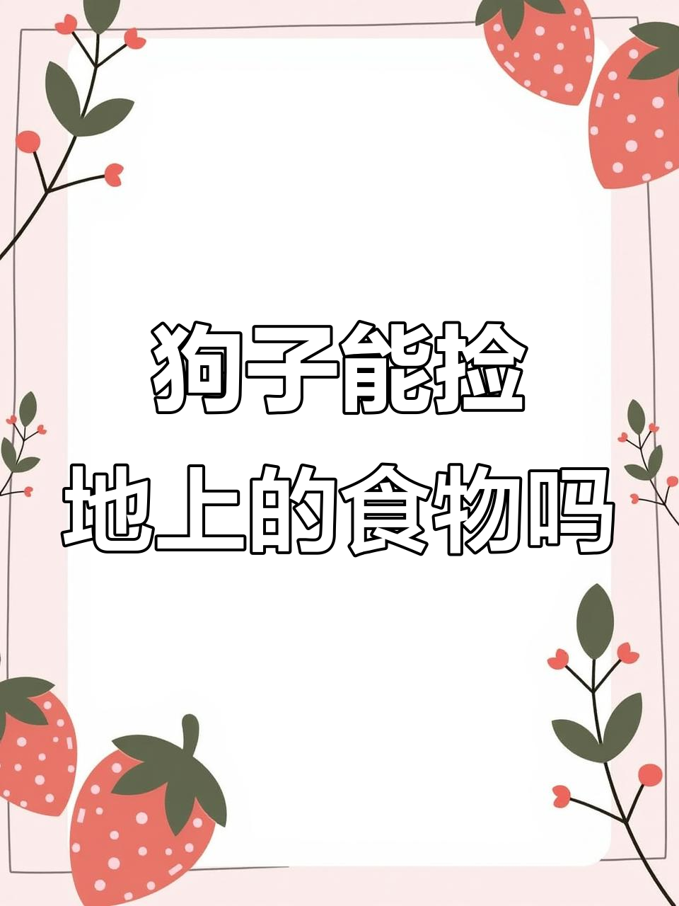 边牧蛋糕掉地上,狗子能否捡起来吃?