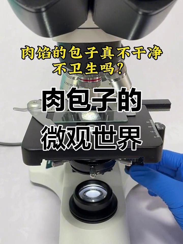 显微镜下看肉包子，竟然发现淋巴肉的秘密！