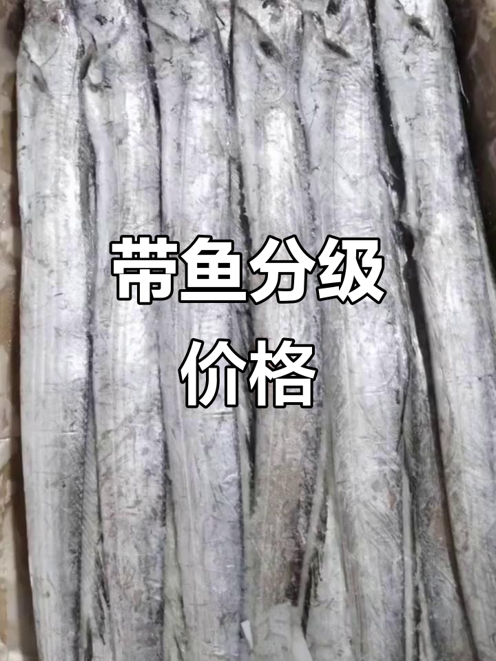越南带鱼，分等级供应，价格从百元到千元不等