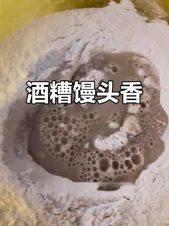 传统酒糟发面馒头，天然酒香清甜，机器酵母无法比拟的老面风味