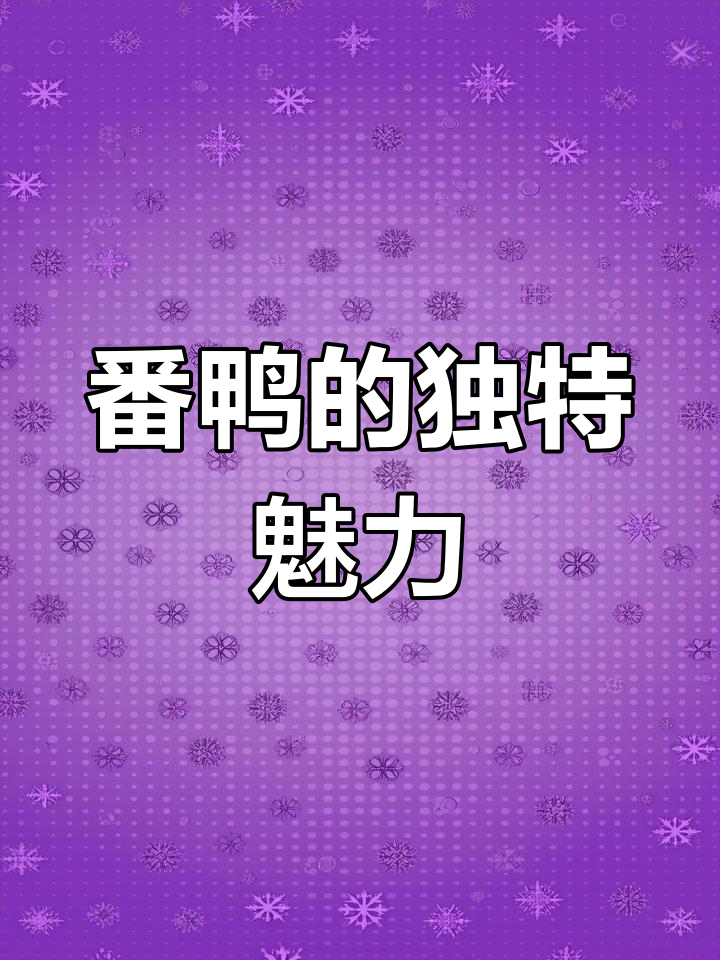 番鸭肉质独特,香气扑鼻,为何却鲜少有人养殖?