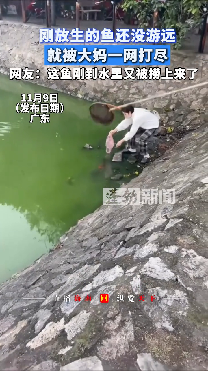 放生1秒就被抄网截胡,女子善心放鱼,大妈紧随其后“捡漏”