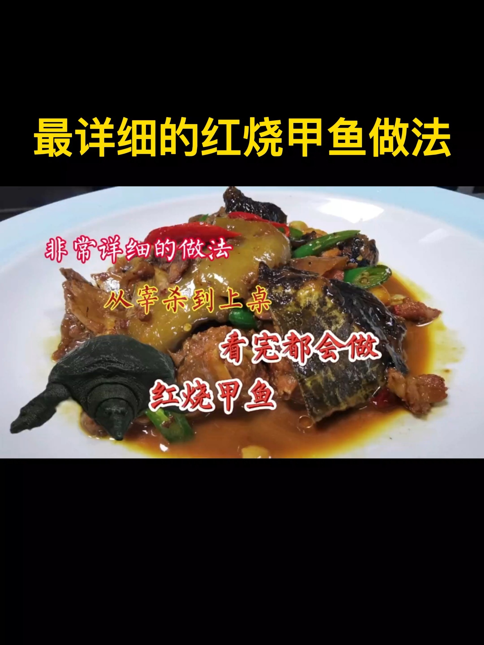 最详细的红烧甲鱼的做法