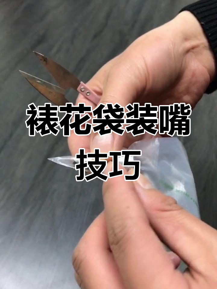 如何正确使用裱花袋,避免剪口过大影响效果