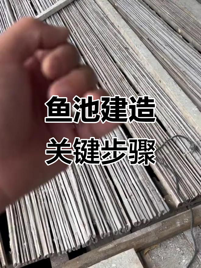 鱼池打造全流程揭秘,过滤系统安装与施工细节