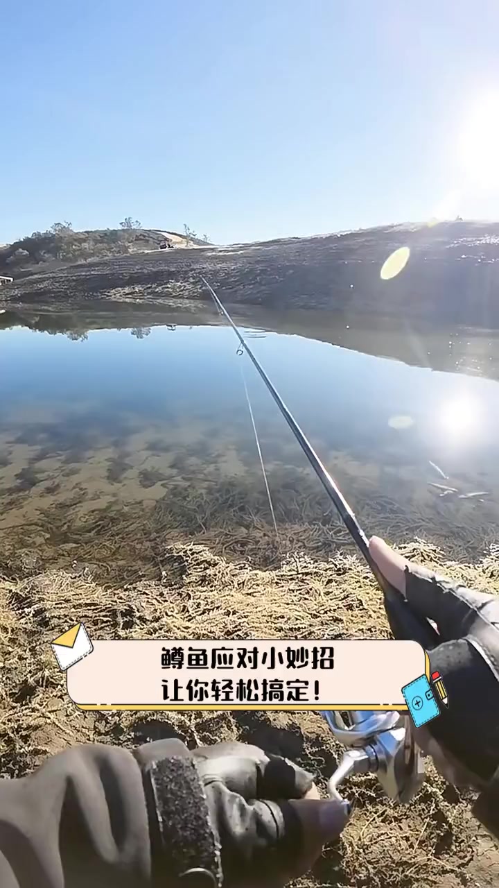 鳟鱼应对小妙招,让你轻松搞定!