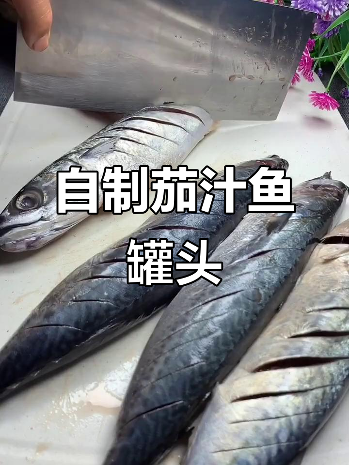 简单易学的茄汁鱼罐头做法，中秋必备美味！
