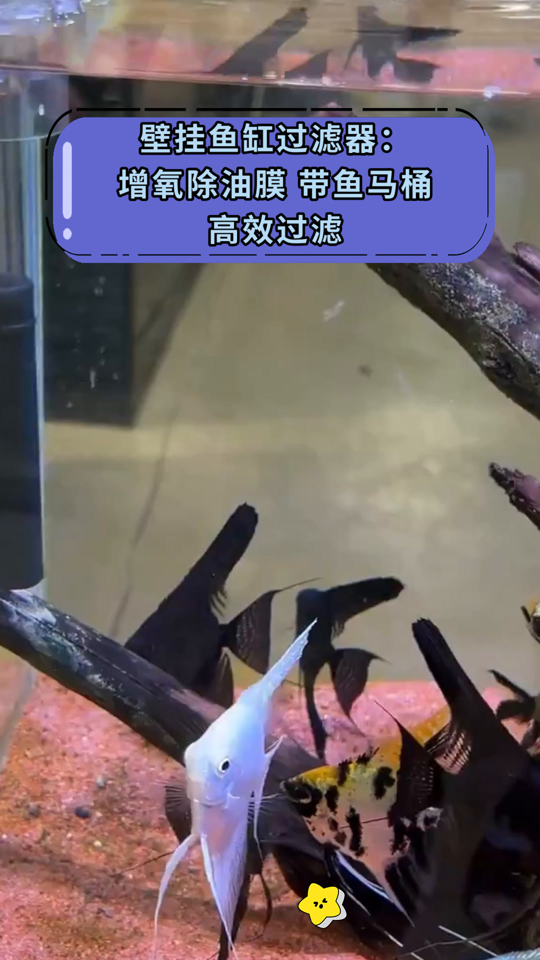 壁挂鱼缸过滤器:增氧除油膜 带鱼马桶高效过滤