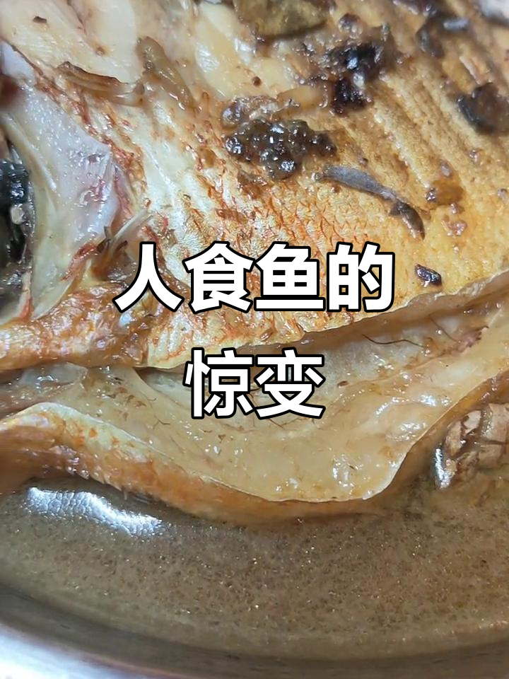 食人鱼变异成“人食”新品种,晒种薯归来竟有食欲