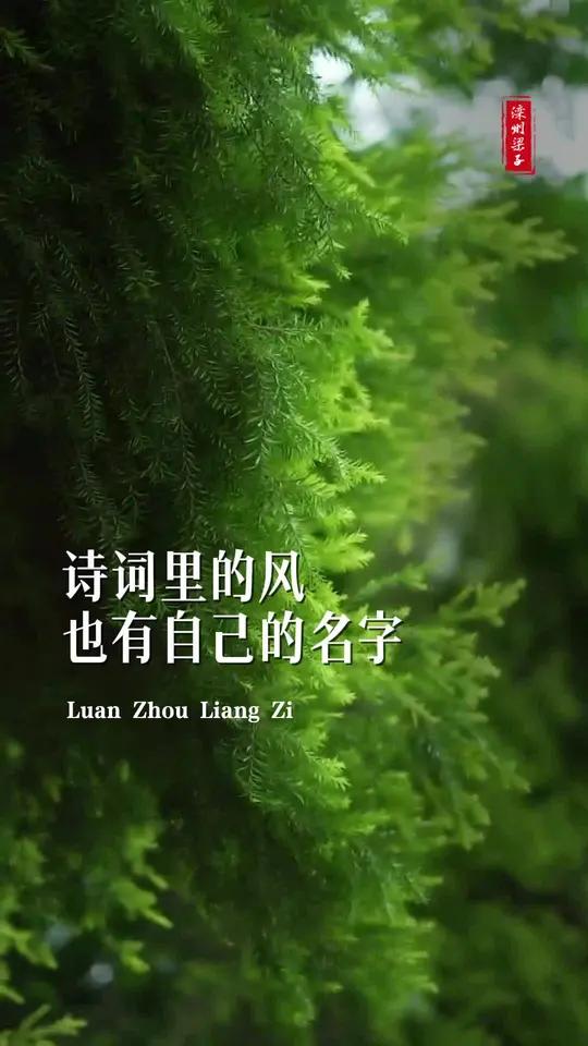 诗词里的风也有自己的名字