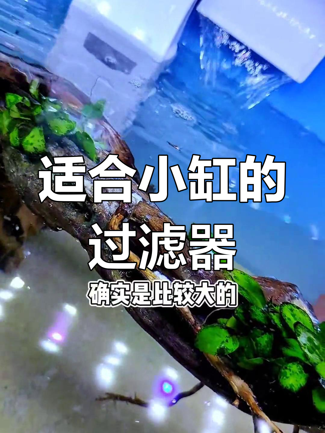 小缸过滤器选择指南,瀑布式过滤效果更佳