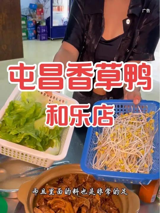 海南屯昌香草鸭,链接下单套餐更实惠