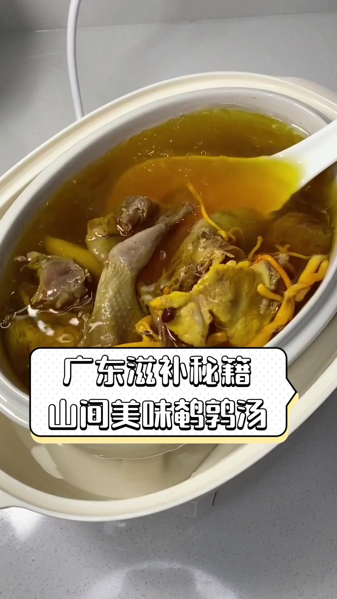 广东滋补秘籍,山间美味鹌鹑汤