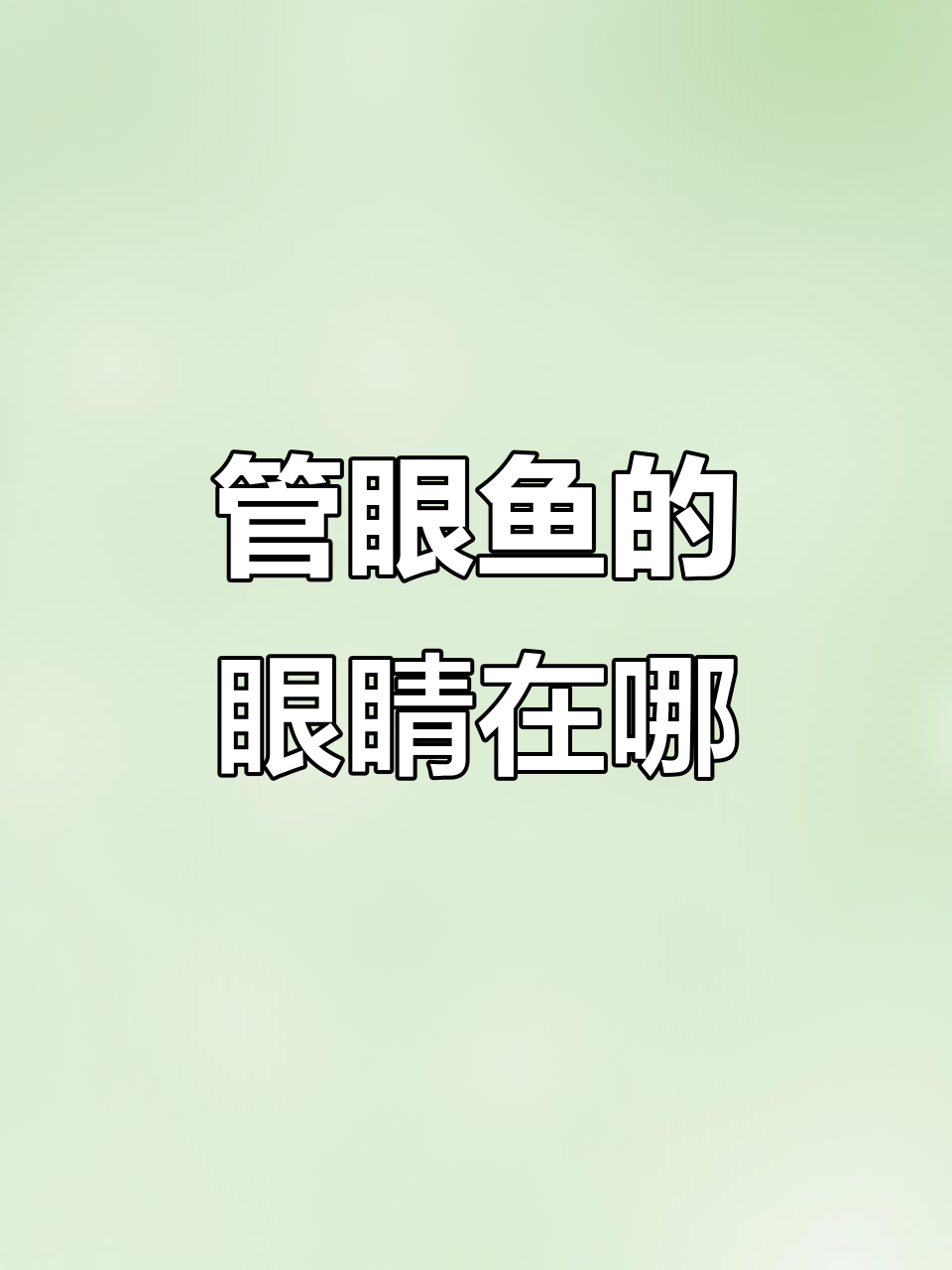猜错眼睛位置?管眼鱼的奇特视觉系统揭秘
