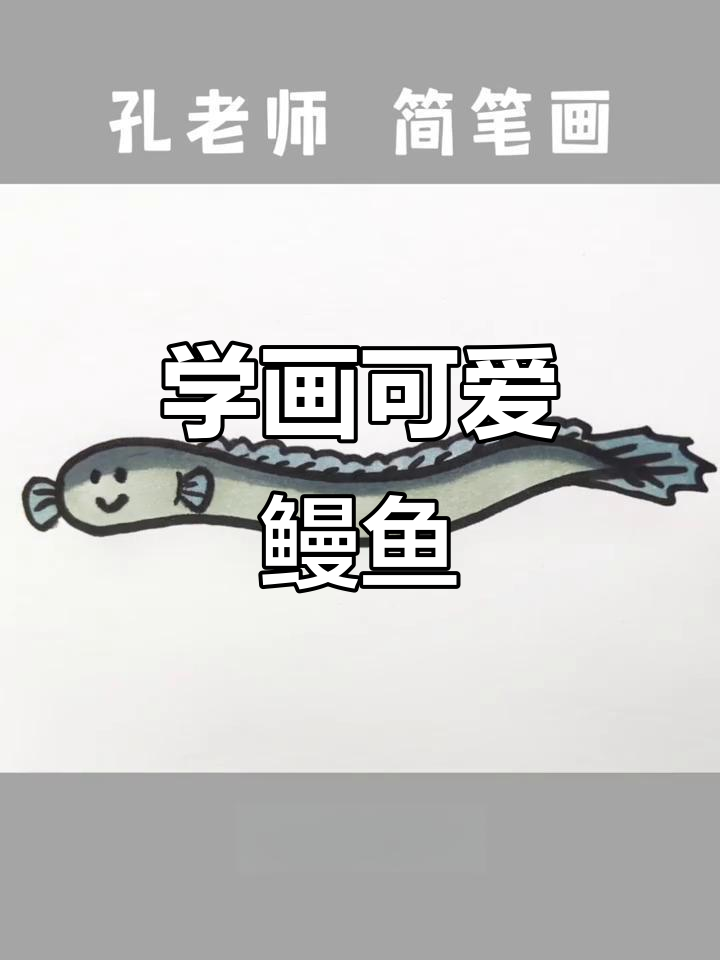 轻松学会画鳗鱼，步骤简单又有趣
