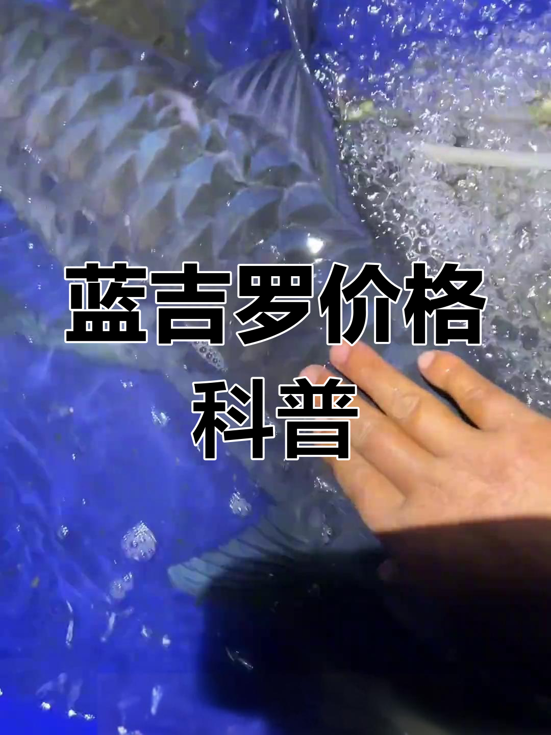 蓝吉罗价格解析,不同重量差异大