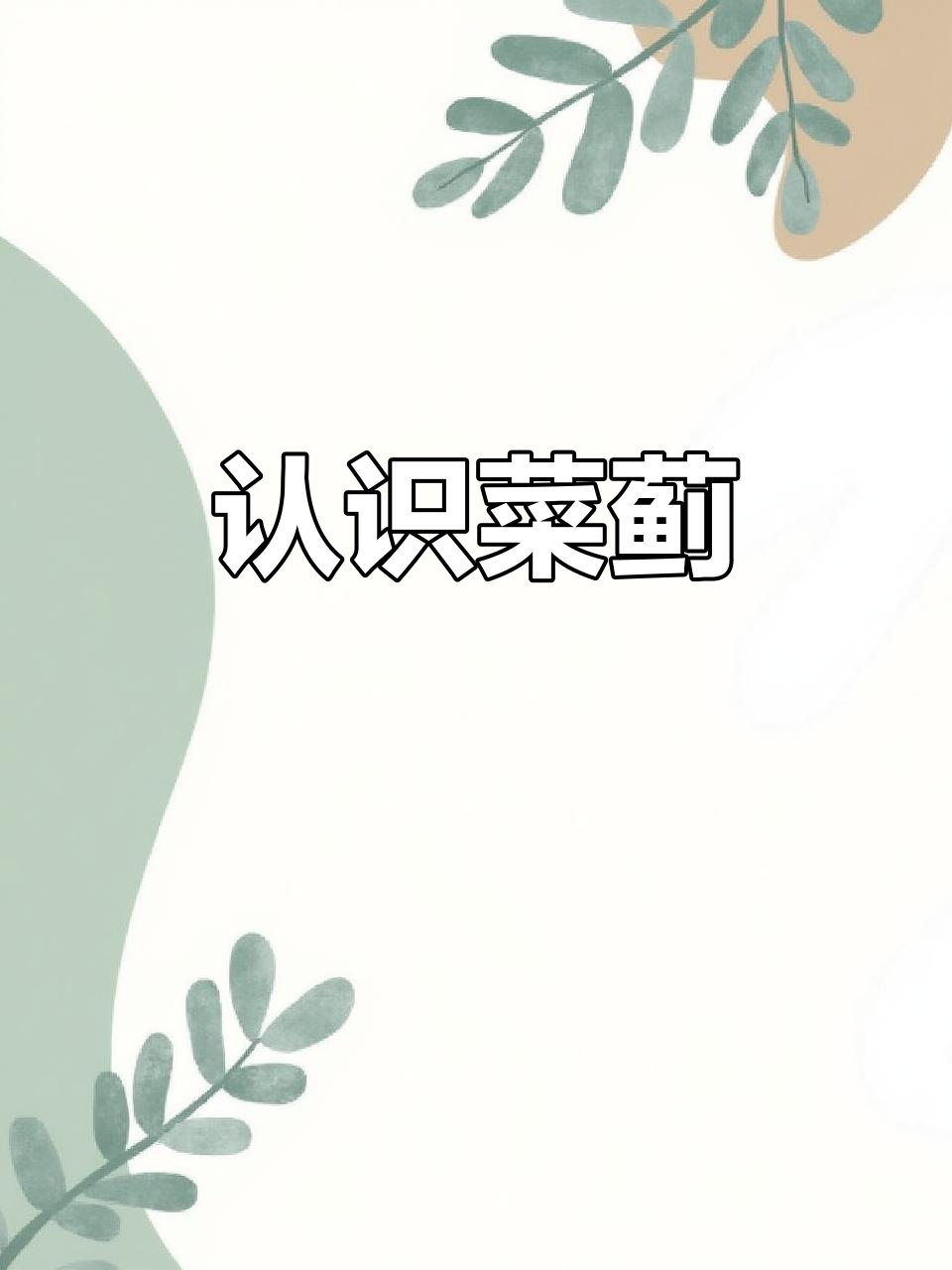 菜蓟:一种独特而美味的植物,你了解吗?