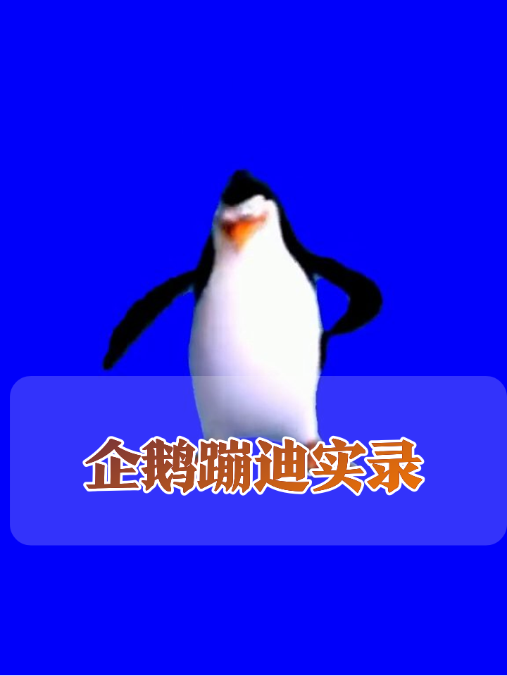 企鹅成精了!蓝色背景狂跳魔性舞蹈,扭腰摆臂比广场舞还上头