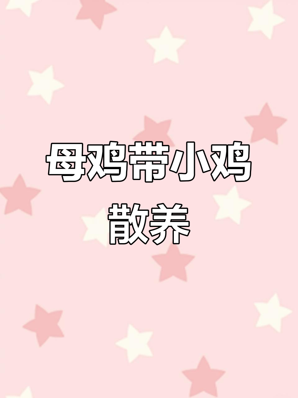 高脚红母鸡领着小鸡散步,萌态十足太治愈